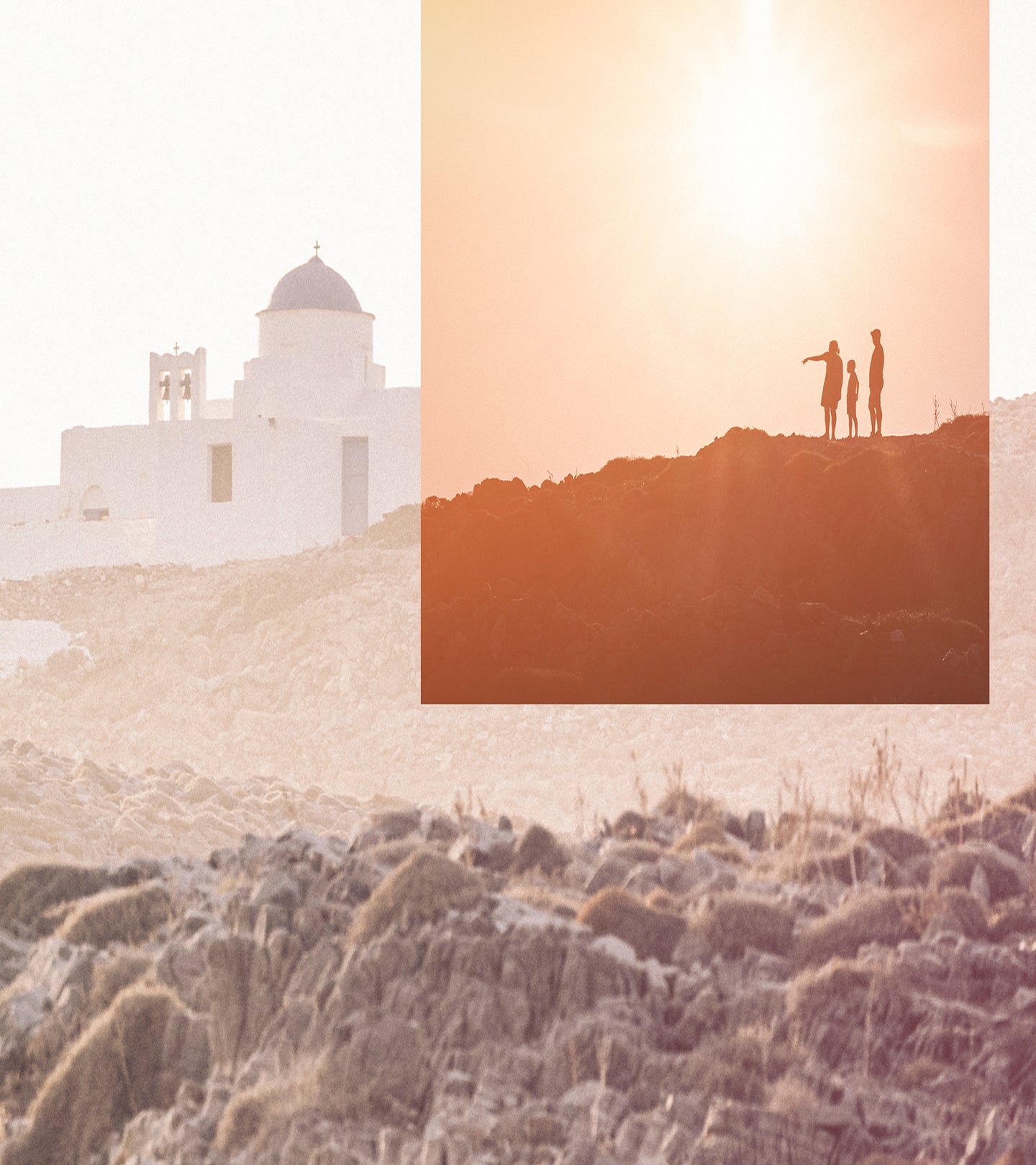 Reviews from Verified Clients