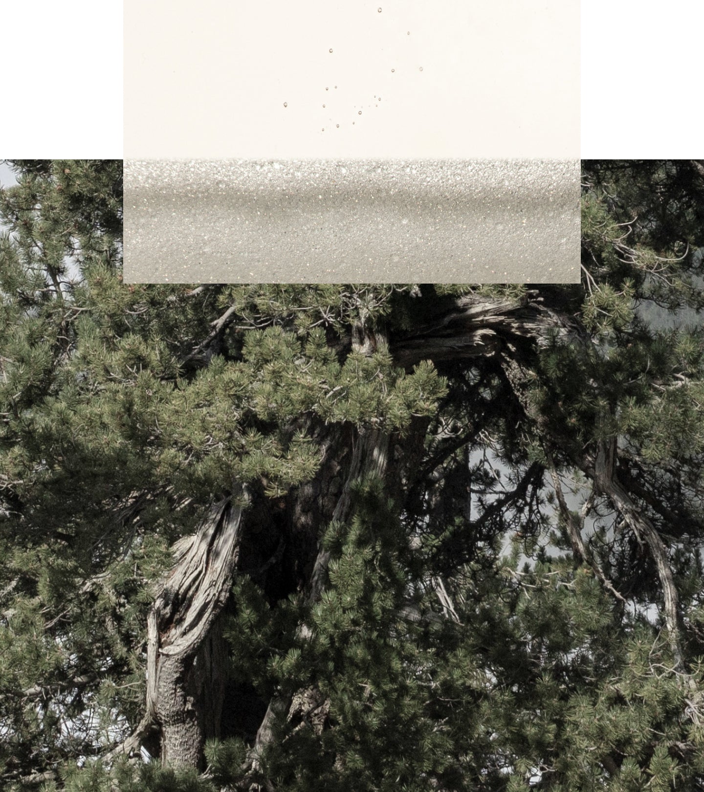 Needle Free Facelift Day Routine ($196 Value) Skincare Kits Korres