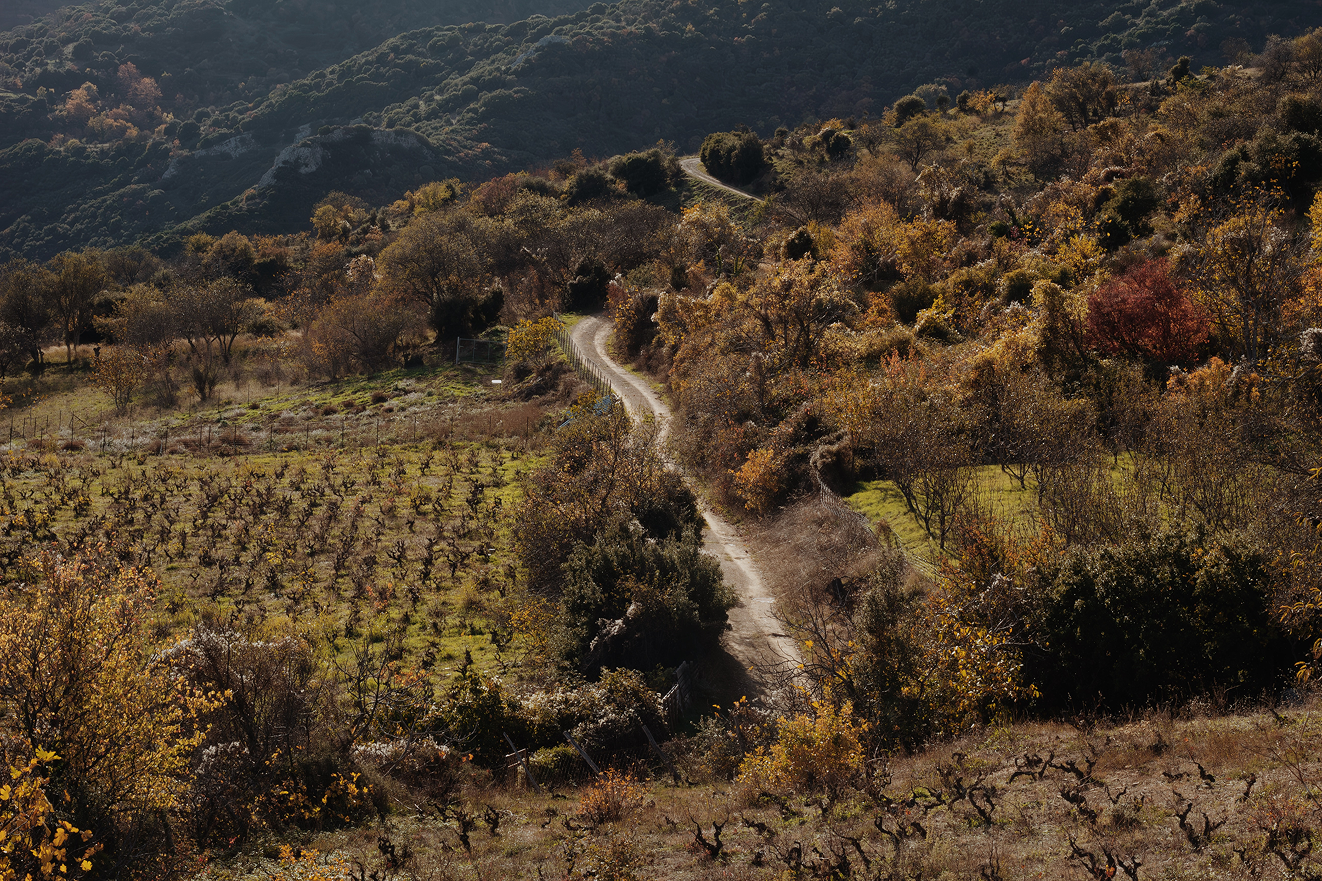 l’impossible du vin or the Voϊ* of the Wines of mount Olympus