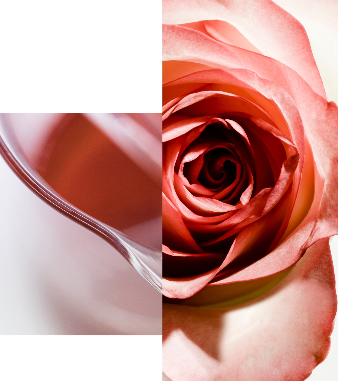 Apothecary Wild Rose Brightening Sleeping Facial | KORRES